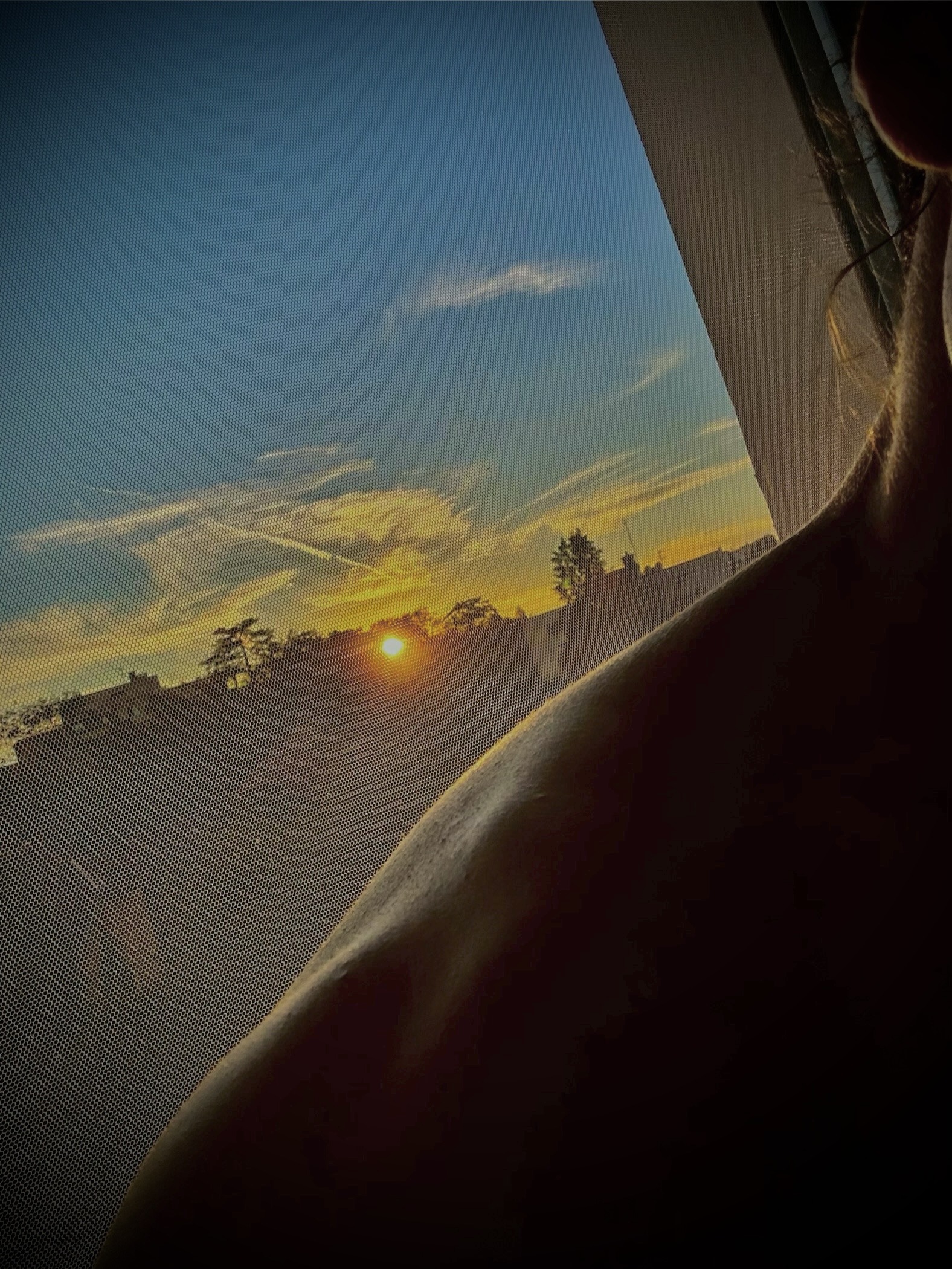 Sabeur - Aeschi b. Spiez - Berne | Gay