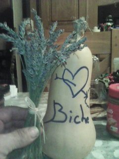 Hamin - Geltwil - Argovie | Gay