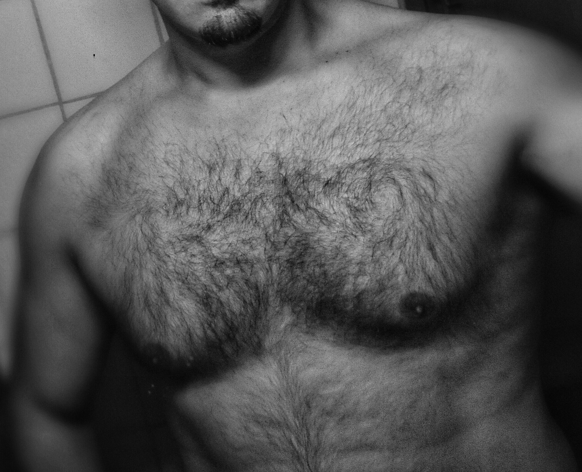 Saloum - Eysins - Vaud | Gay