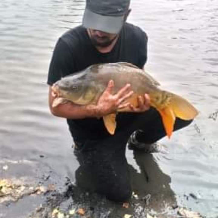 Dieudonne - Agarone - Tessin | Gay