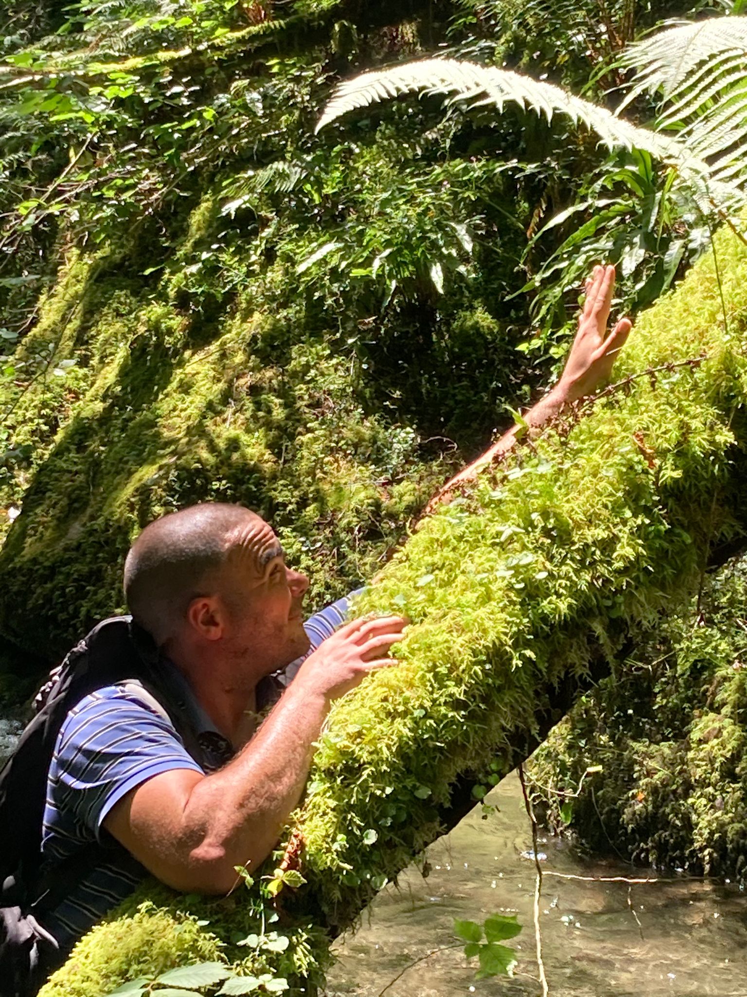 Houari - Coppet - Vaud | Gay