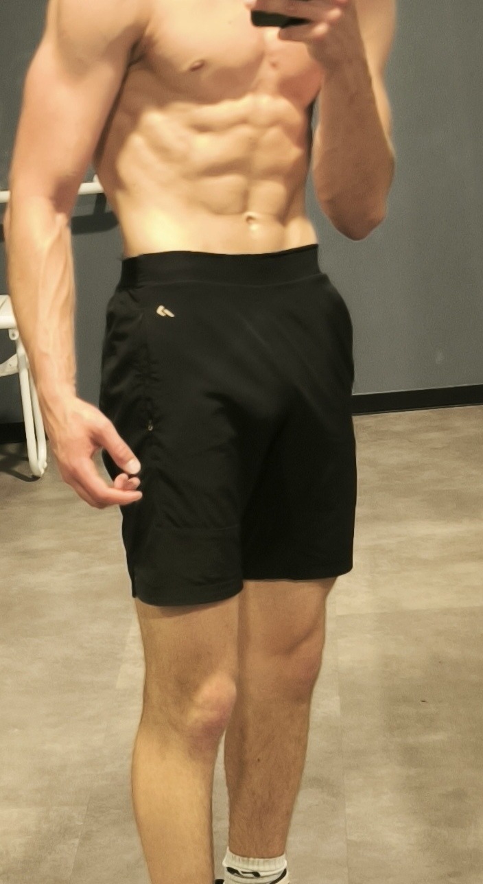 David-junior - Ammerswil AG - Argovie | Gay