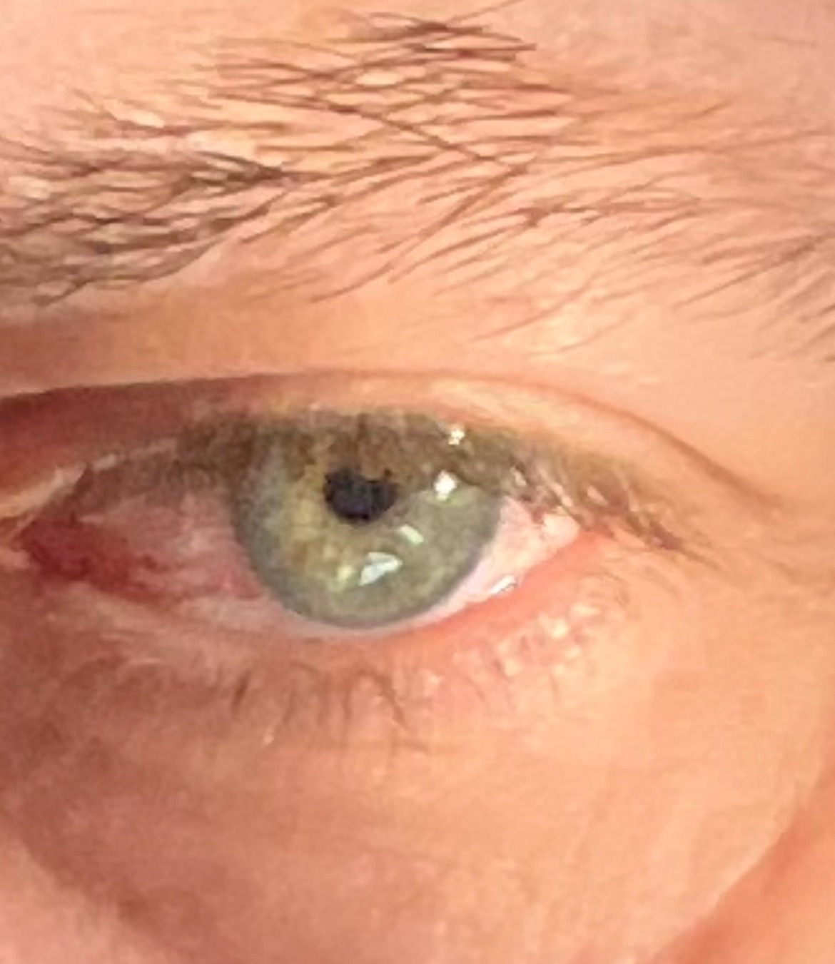 Serkan - Châtel-sur-Montsalvens - Fribourg | Gay