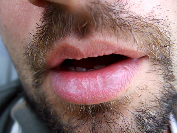 Bara - Clarmont - Vaud | Gay